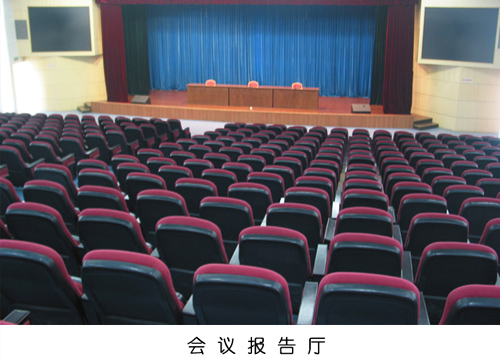 礼堂椅案例